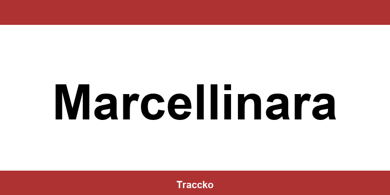 Numero di telefono del punto DHL Express a Marcellinara